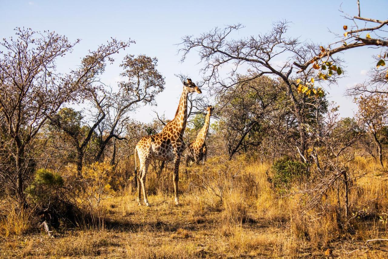 Fumani Game Lodge Modimolle Exteriör bild